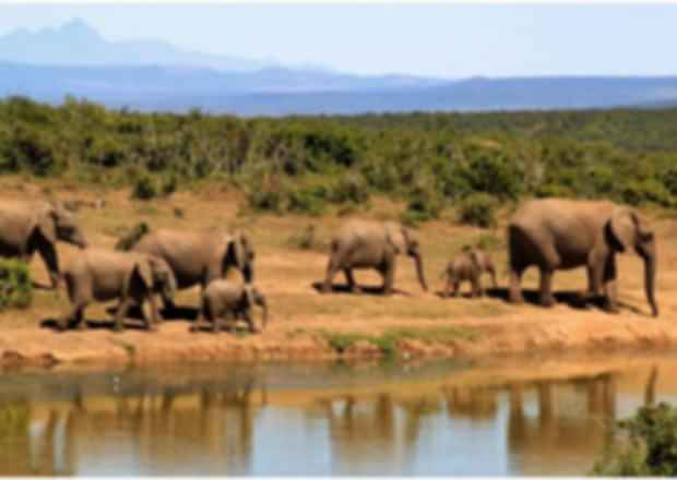 Best Countries to Visit in July: Your Perfect Mid-Year Getaway Guide