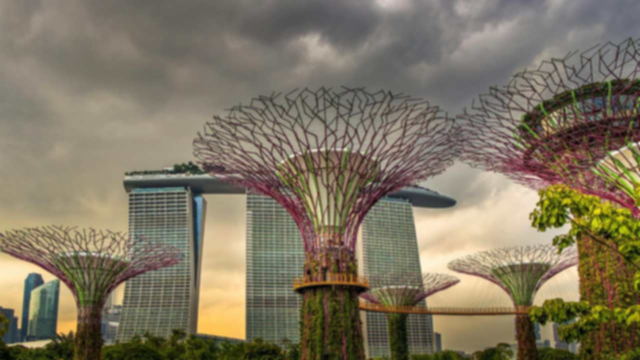 Singapore Botanic Gardens: Top Things to See & Do in 2026