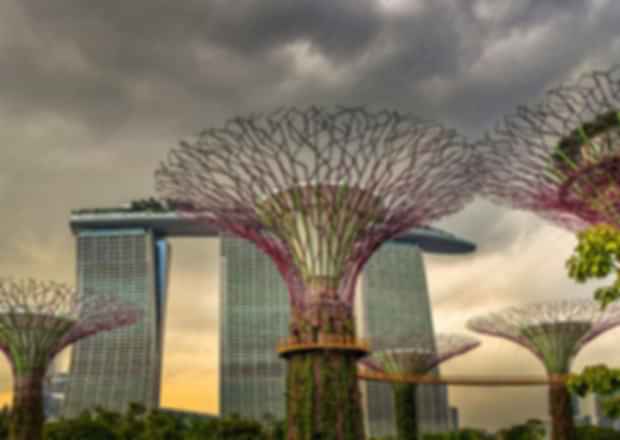 Singapore Botanic Gardens: Top Things to See & Do in 2025