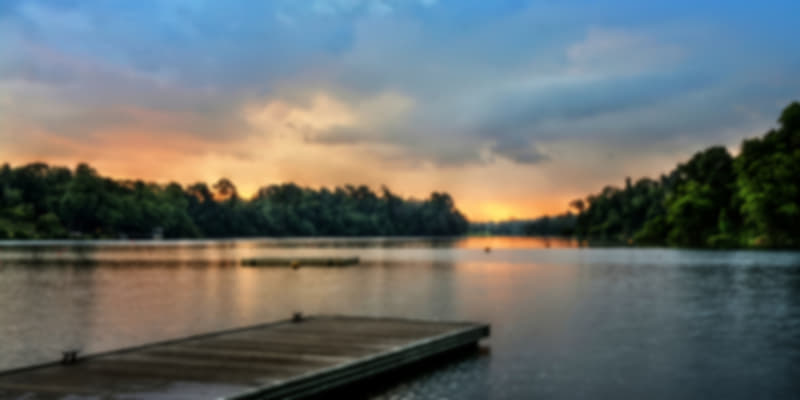 MacRitchie Reservoir Singapore