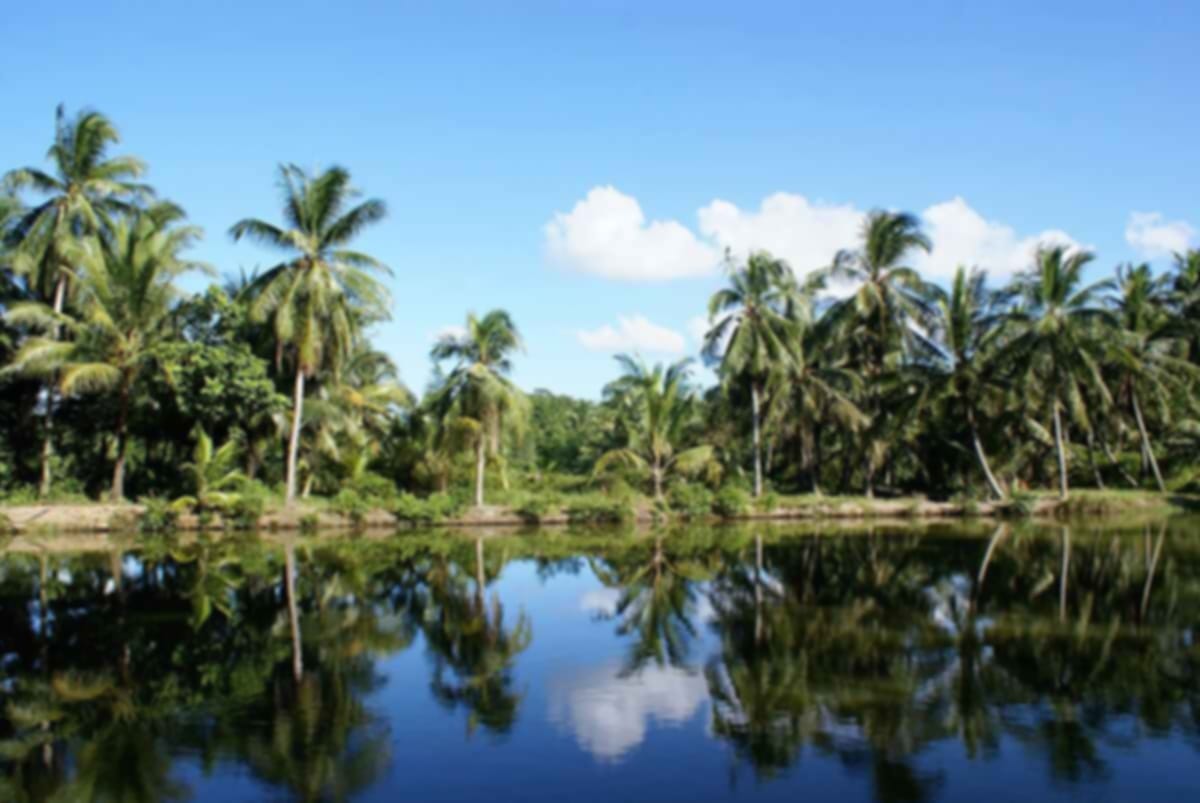 Explore the Villages in Singapore That Still Preserve Old-World Charm