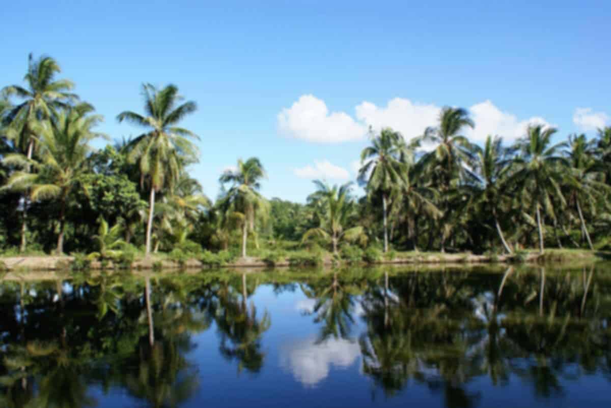 Explore the Villages in Singapore That Still Preserve Old-World Charm