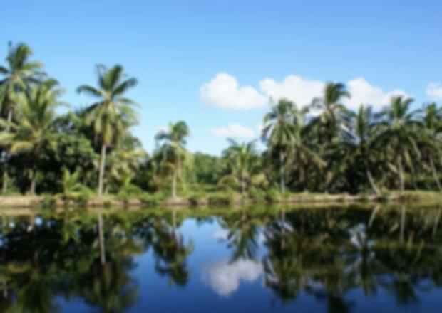 Explore the Villages in Singapore That Still Preserve Old-World Charm