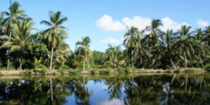 Pulau Ubin Singapore