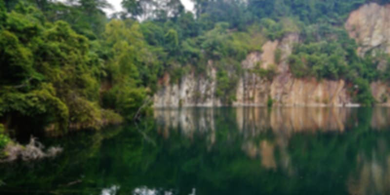 Bukit Timah Reserve Singapore