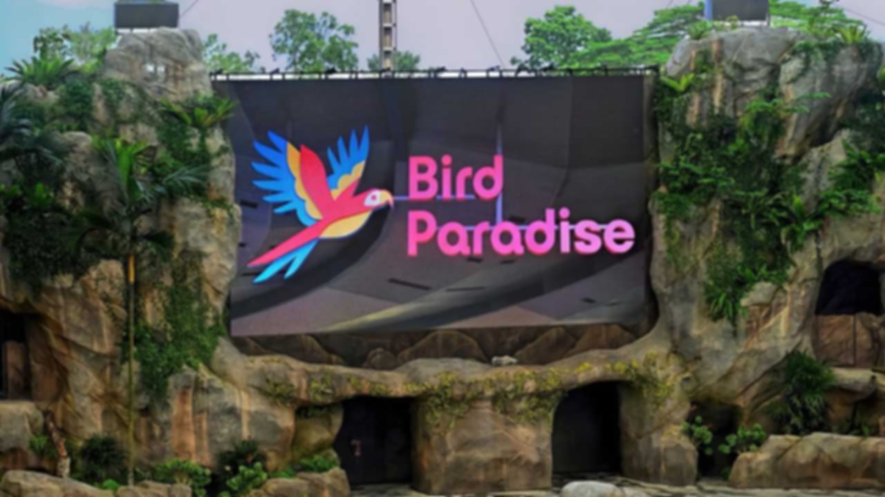 Inside Bird Paradise Singapore – A Must-Visit Haven