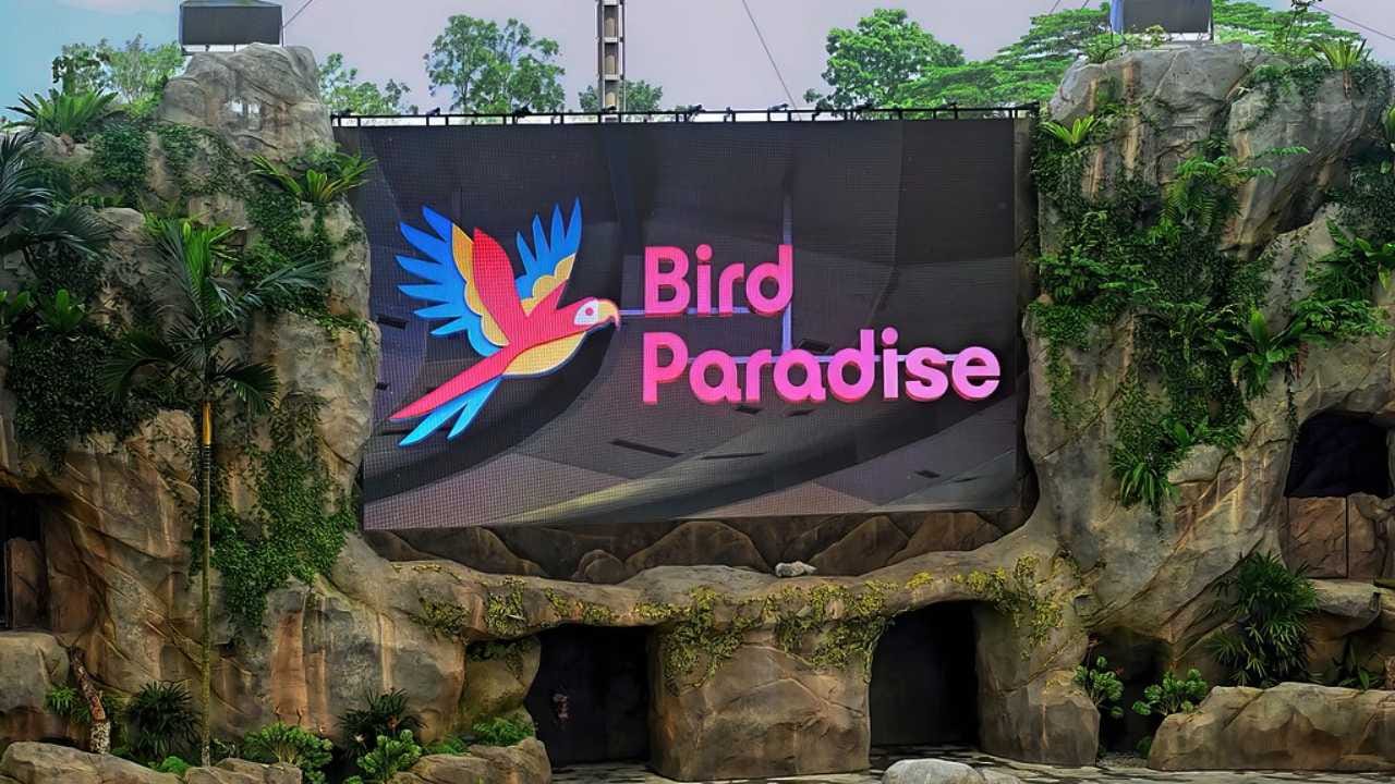 Inside Bird Paradise Singapore – A Must-Visit Haven