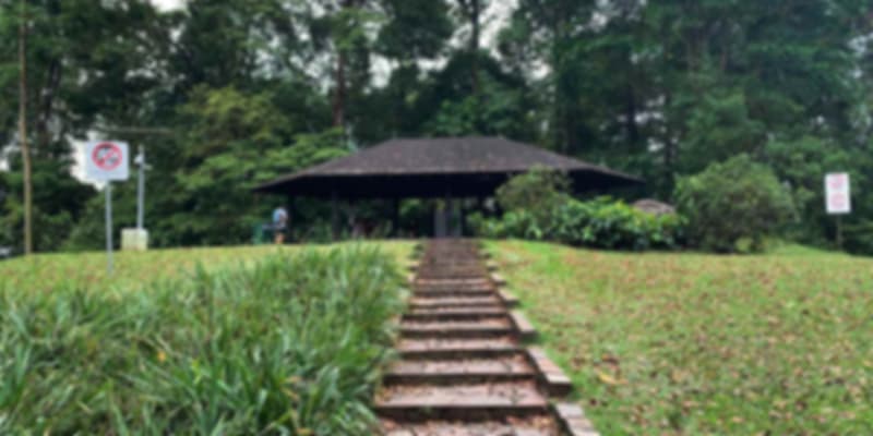 Wooden stairs leading to the summit trail at Bukit Timah Nature Reserve, the highest natural point in Singapore