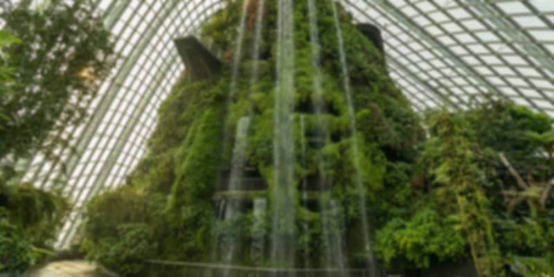 Cloud Forest Waterfall Singapore