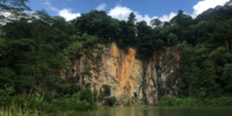 Cliff face surrounded by lush greenery at Dairy Farm Nature Park, a rugged hiking trail in Singapore for adventurous explorers
