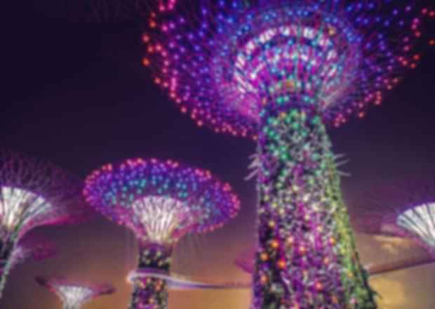 Gardens by the Bay Singapore: Tickets, Timings, Attractions & Best Time to Visit