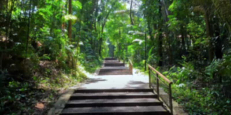 Lush green pathway at Mount Faber Park, a peaceful urban hiking trail with panoramic city views in Singapore
