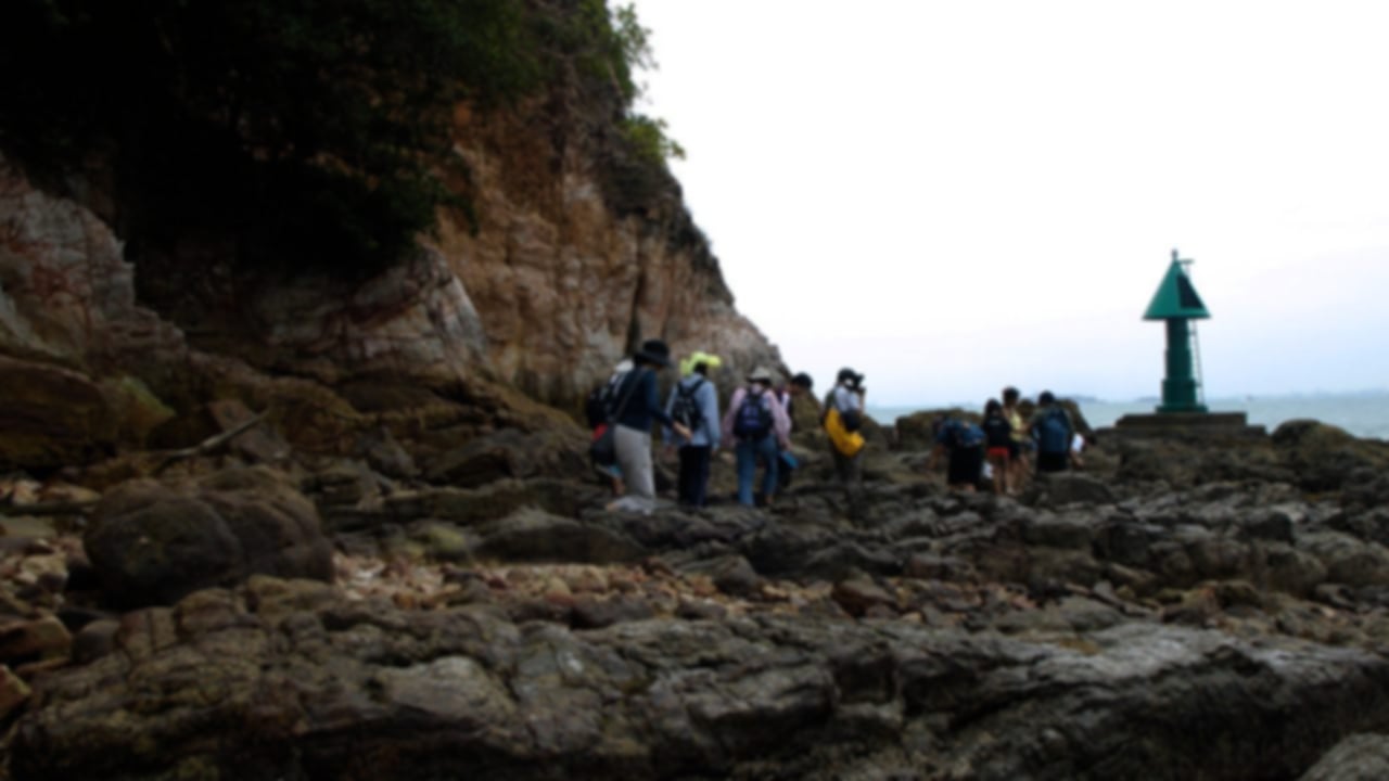 Mountains in Singapore: Discover the Best Nature Trails and Elevated Spots