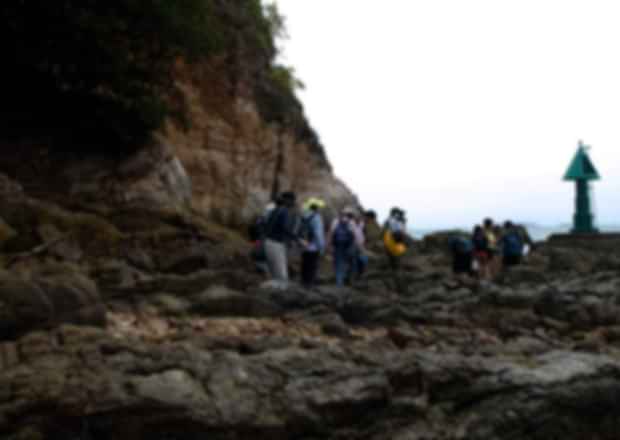 Mountains in Singapore: Discover the Best Nature Trails and Elevated Spots