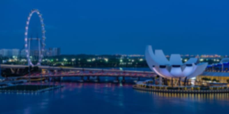 Singapore Flyer near marina bay