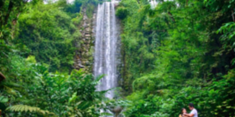 Waterfall Aviary Singapore