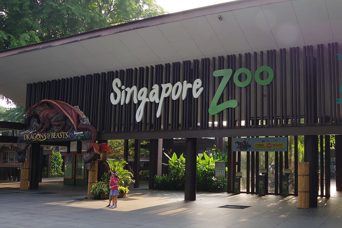 Singapore Zoo Guide 2026: Timings, Ticket Prices, Shows & Animal Encounters