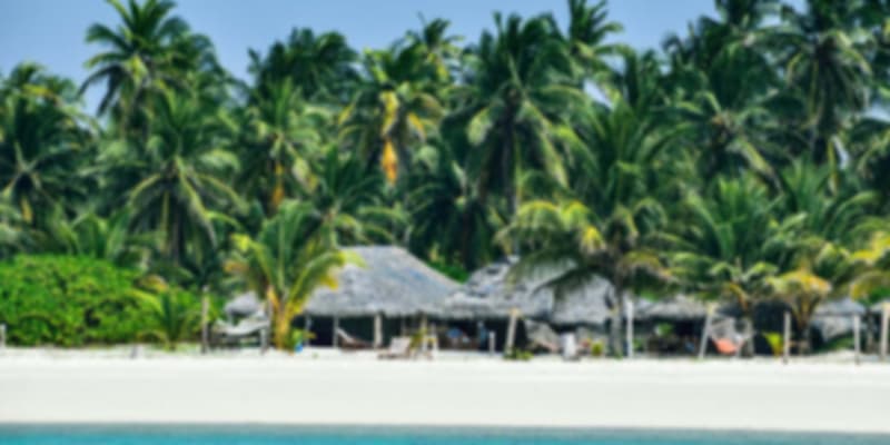 Beach huts and coconut palm trees on a white sand beach in Lakshadweep