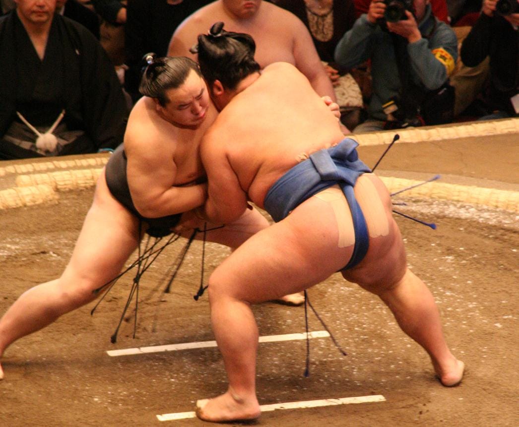 Sumo Wrestling in Japan 2026: Tournament Dates, Tickets & Travel Guide