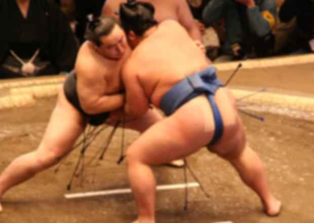 Sumo Wrestling in Japan 2026: Tournament Dates, Tickets & Travel Guide