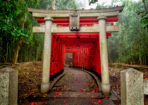 Shrines vs Temples in Japan: Key Differences Explained