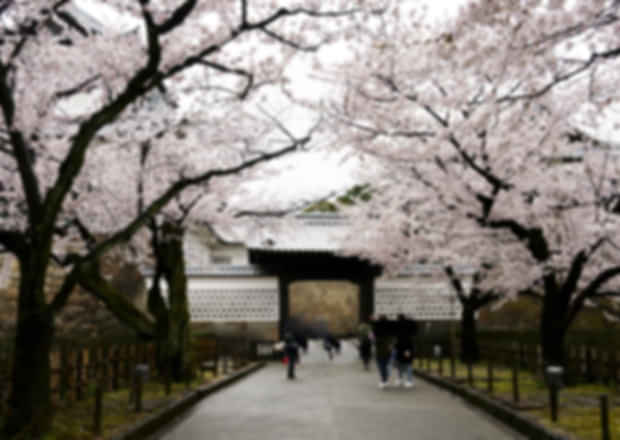Kanazawa vs Kyoto: Which Cultural City Should You Visit in Japan?