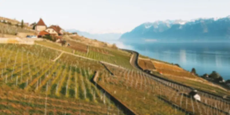 Switzerland wine harvest season