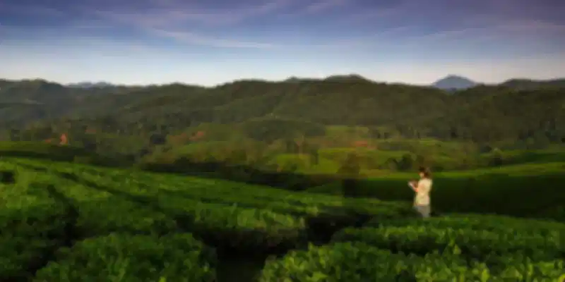 Discover the Green Lushes of Hà Giang, Vietnam.