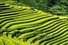 Trekking in Sapa: Northern Vietnam’s Mountains – Complete Guide