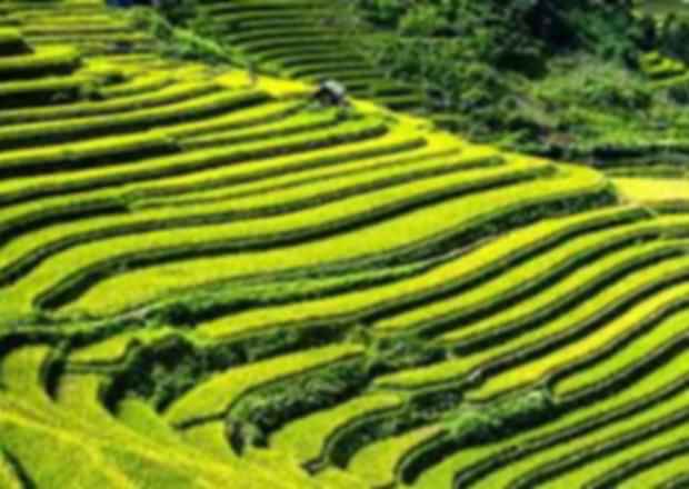Trekking in Sapa: Northern Vietnam’s Mountains – Complete Guide