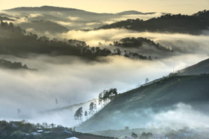 Da Lat in Vietnam: Ultimate 2026 Travel Guide to the City of Eternal Spring