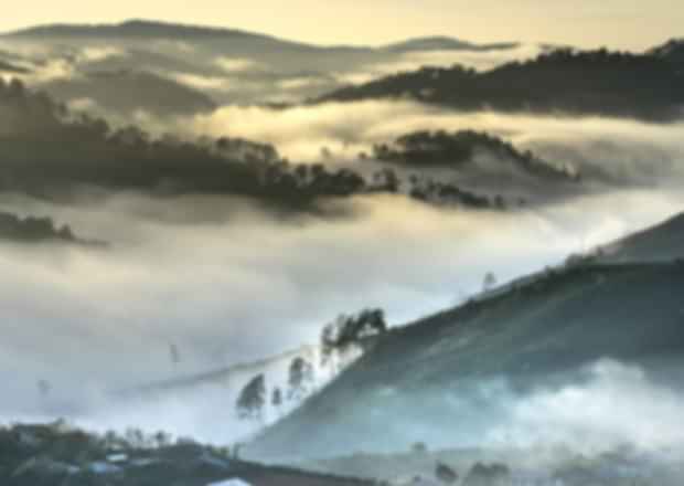 Da Lat in Vietnam: Ultimate 2026 Travel Guide to the City of Eternal Spring