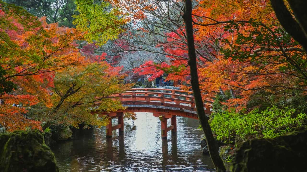 Japan Fall Foliage Guide 2025: Peak Dates, Top Spots & Expert Planning Tips