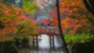 blog-card