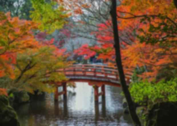 Japan Fall Foliage Guide 2025: Peak Dates, Top Spots & Expert Planning Tips