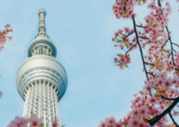 11-Day Family Trip to Japan: Complete Itinerary & Planning Guide