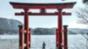 blog-card