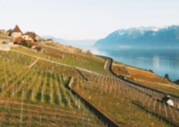 Switzerland Wine Tours & Vineyards : Best Tasting Routes for Wine Lovers