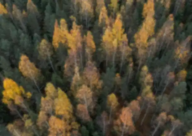 Finland in October: Ultimate Travel Guide for Autumn Colours, Ruska Season & Northern Lights