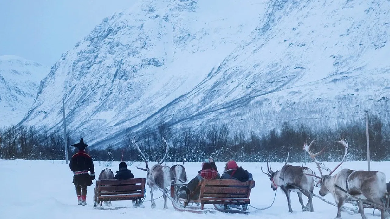 Reindeer Sledging Norway Guide: Sami Culture & Arctic Experiences