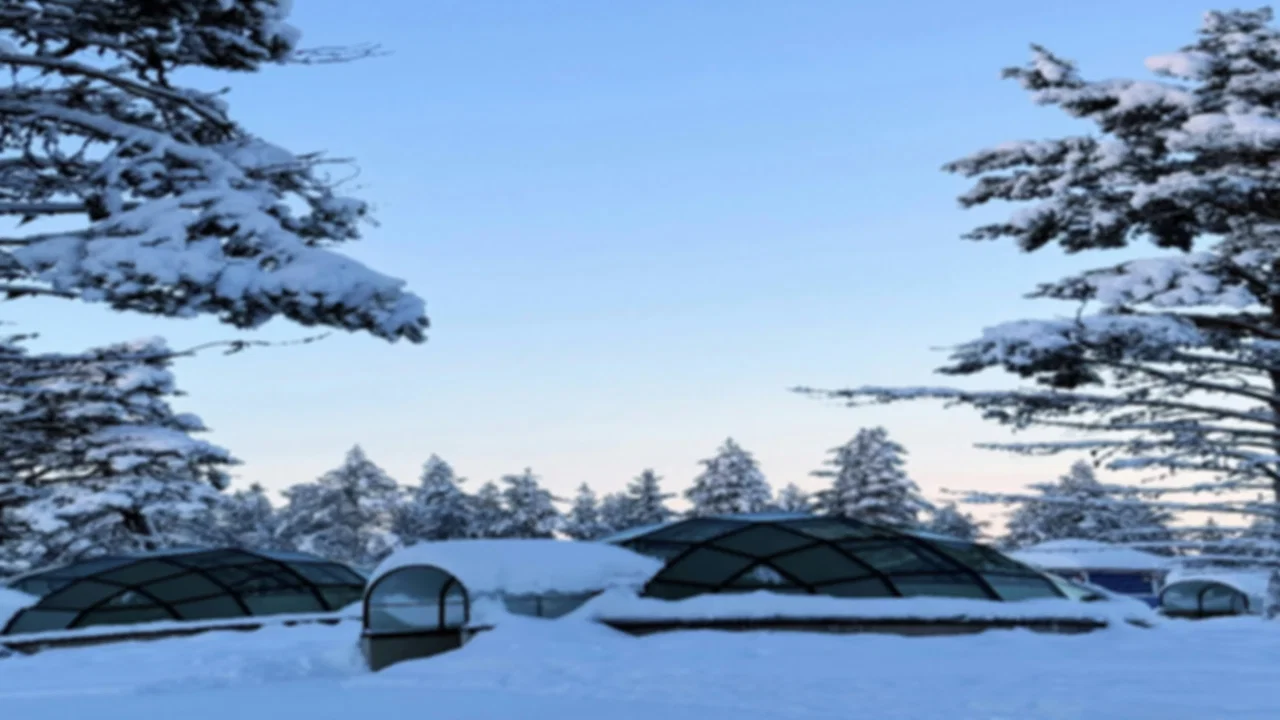 Where to Stay in Lapland for Northern Lights: Glass Igloos vs Cabins