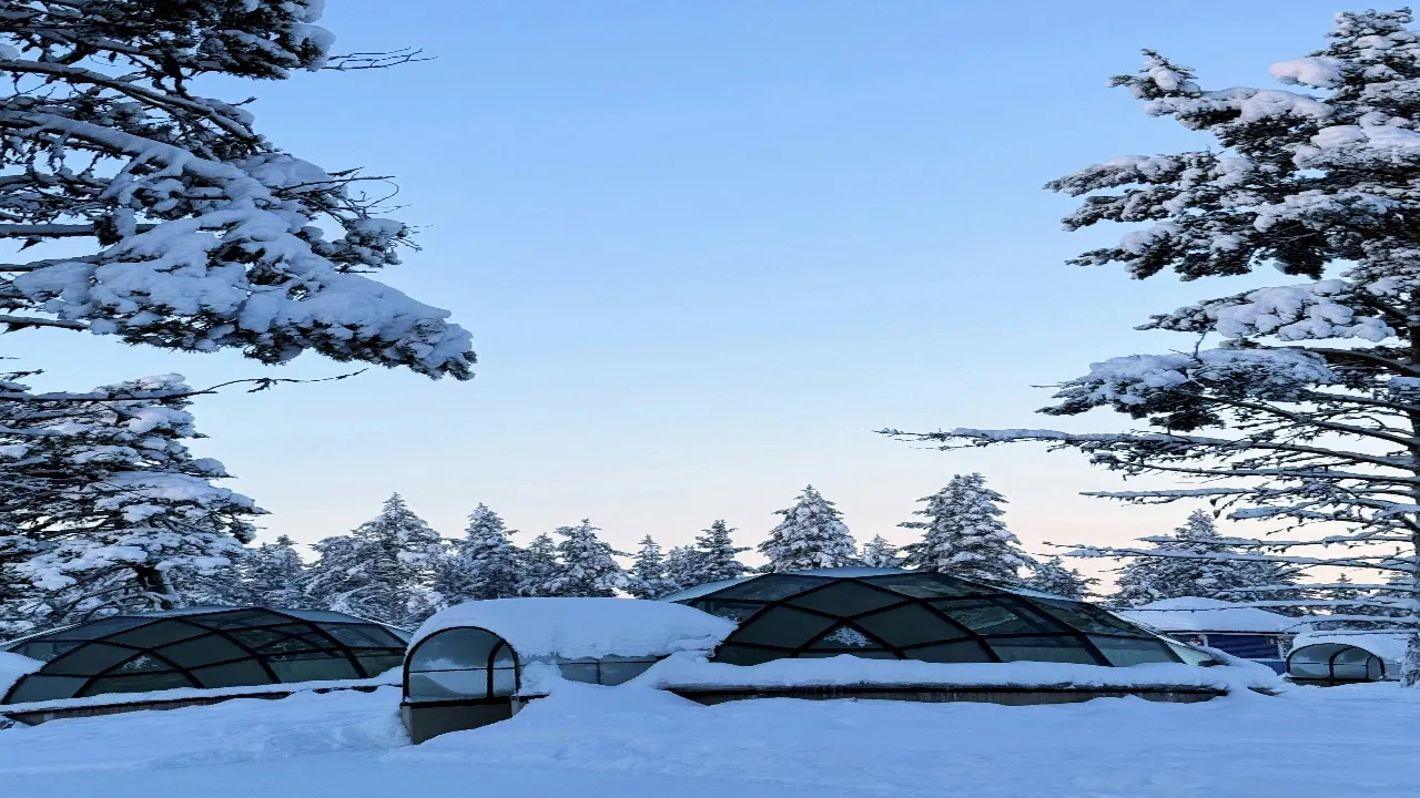 Where to Stay in Lapland for Northern Lights: Glass Igloos vs Cabins
