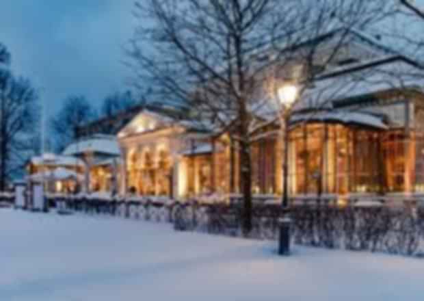 Vegetarian & Vegan Restaurants in Finland : Ultimate Travel Guide for Visitors & Locals