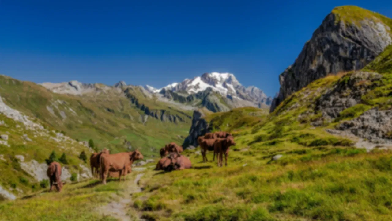 The Complete French Alps Travel Guide: Best Ski Resorts & Year-Round Activities