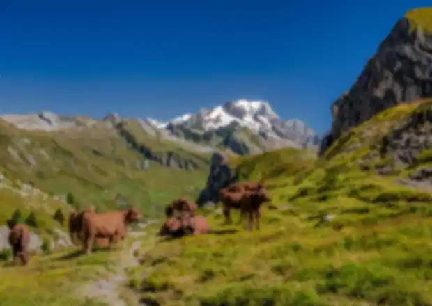 The Complete French Alps Travel Guide: Best Ski Resorts & Year-Round Activities