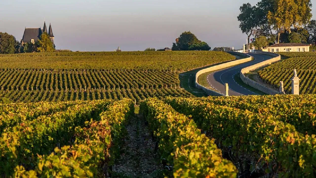 Wine Tours in France: Guide to Bordeaux, Burgundy & Champagne Regions
