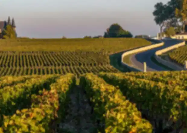 Wine Tours in France: Guide to Bordeaux, Burgundy & Champagne Regions