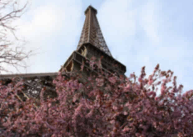 Spring in France: Weather, Travel Expectations & Complete Planning Guide