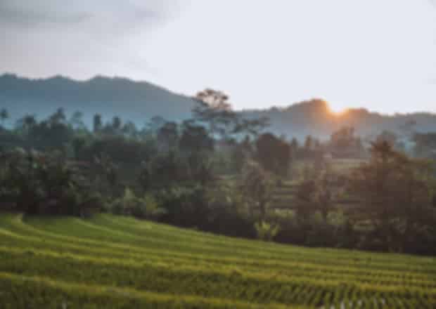 Top 15 Hidden & Less Crowded Places to Visit in Bali: Travel Guide