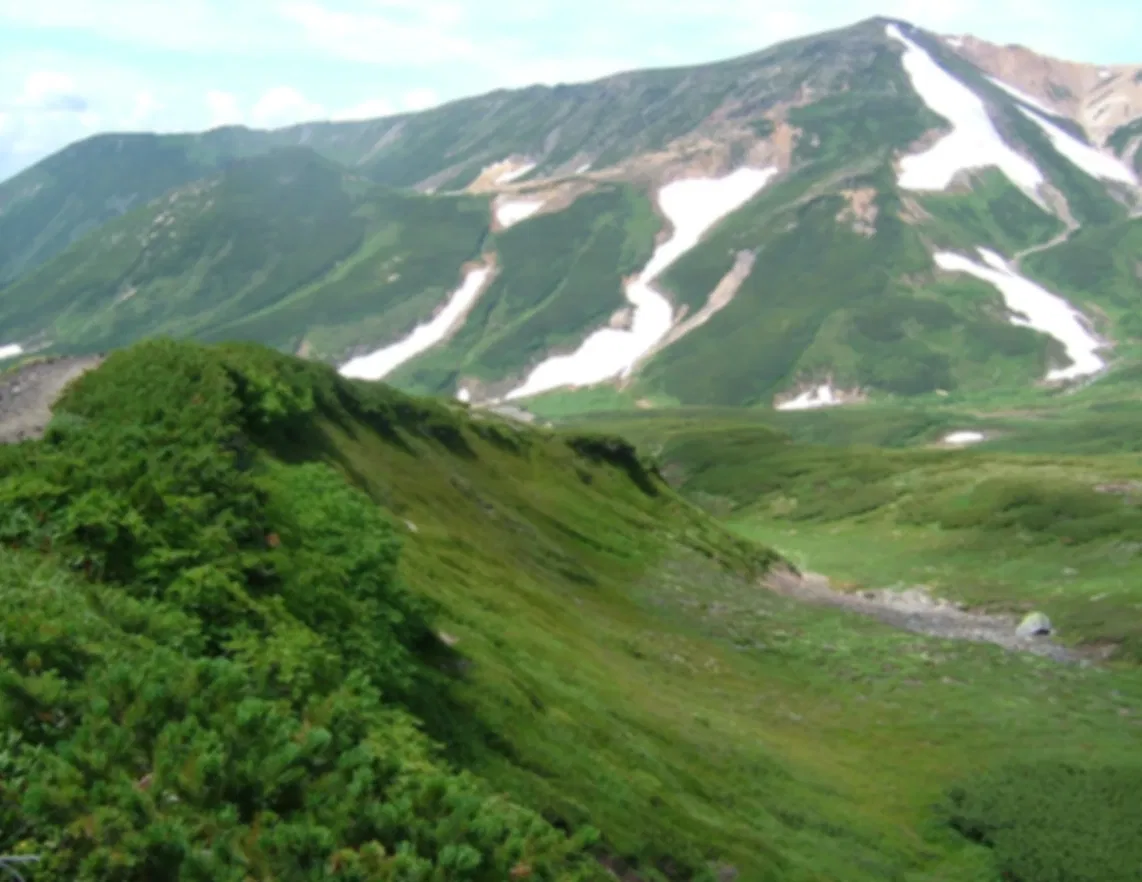 Japan National Parks: A Complete Guide to the Best National Parks in Japan